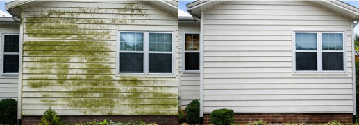 Soft washing house siding to eliminate mold, mildew, and dirt for a refreshed exterior. Expert house washing.