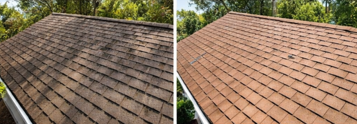 Soft washing roof to safely remove moss, algae, and stains without damaging shingles
